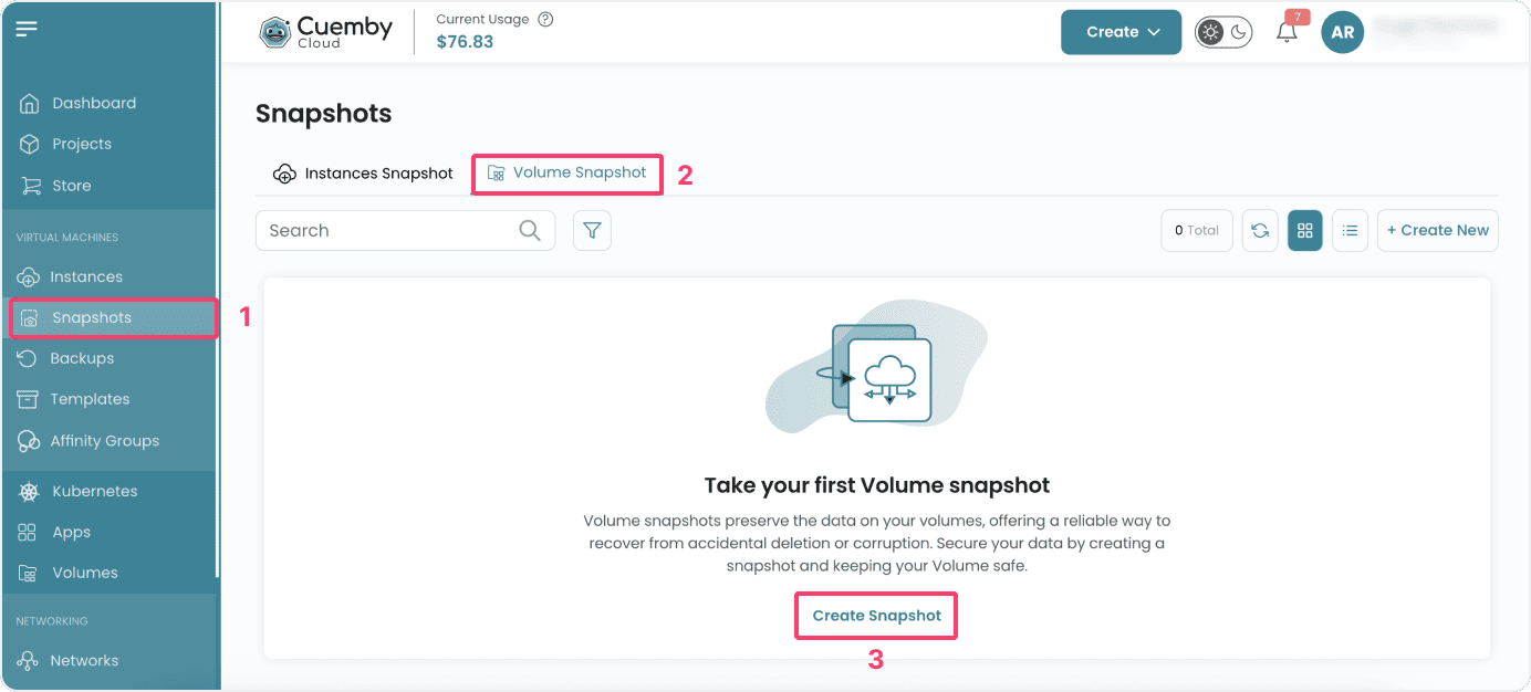 create-volume-snapshot